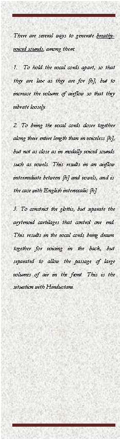 Cuadro de texto: There are several ways to generate breathy-voiced sounds, among them: 
1.  To hold the vocal cords apart, so that they are lax as they are for [h], but to increase the volume of airflow so that they vibrate loosely. 
2. To bring the vocal cords closer together along their entire length than in voiceless [h], but not as close as in modally voiced sounds such as vowels. This results in an airflow intermediate between [h] and vowels, and is the case with English intervocalic [h]. 
3. To constrict the glottis, but separate the arytenoid cartilages that control one end. This results in the vocal cords being drawn together for voicing in the back, but separated to allow the passage of large volumes of air in the front. This is the situation with Hindustani.
